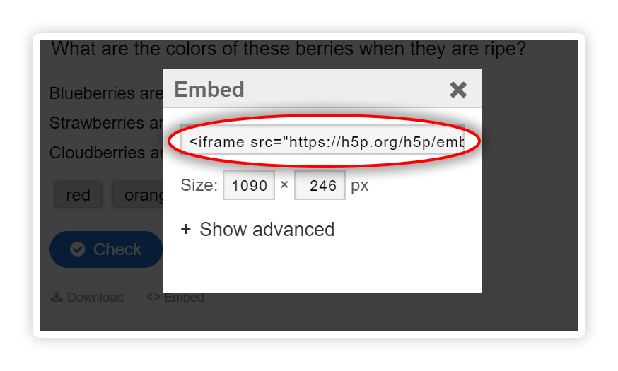 embed2